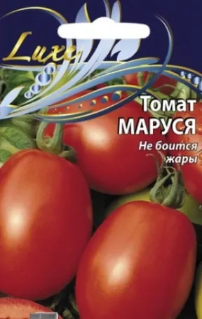 Томат маруся опис сорту з фото, відгуки (томат) Томат маруся опис сорту з фото, відгуки
