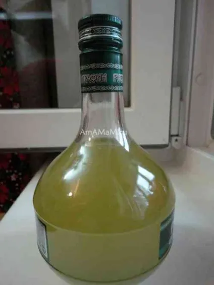 У алое жовтіють листя