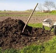 Добрива для помідорів і огірків (помідорів) Добрива для помідорів і огірків