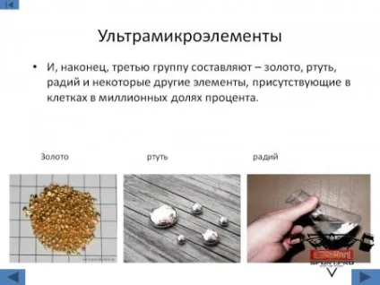Ультрамікроелементи в організмі, ультрамікроелементи роль, ультрамікроелементи список (організмі) Ультрамікроелементи в організмі, ультрамікроелементи роль, ультрамікроелементи список