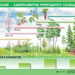 урок онлайн