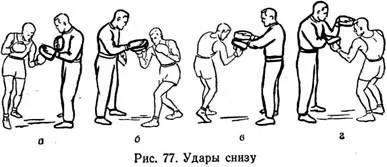 Вправи на лапах - студопедія