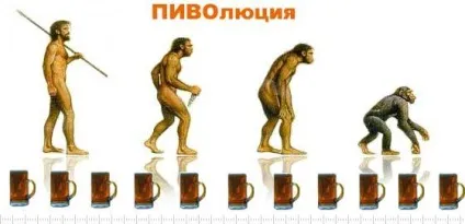 Вживання пива щодня шкодить вашому здоров'ю (вживання) Вживання пива щодня шкодить вашому здоров'ю