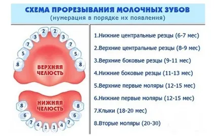 У дитини ріжуться зуби що робити ніж знеболити ніж допомогти (зуби) У дитини ріжуться зуби що робити ніж знеболити ніж допомогти