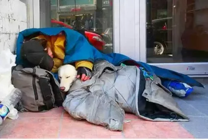 У собак лише один недолік