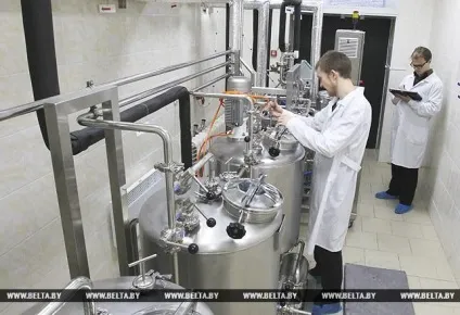 Унікальний експеримент в Мінську як з молока трансгенних кіз виробляють лактоферрин (лактоферин) Унікальний експеримент в Мінську як з молока трансгенних кіз виробляють лактоферрин