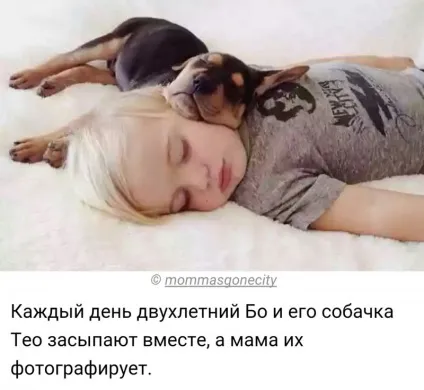 У собак лише один недолік