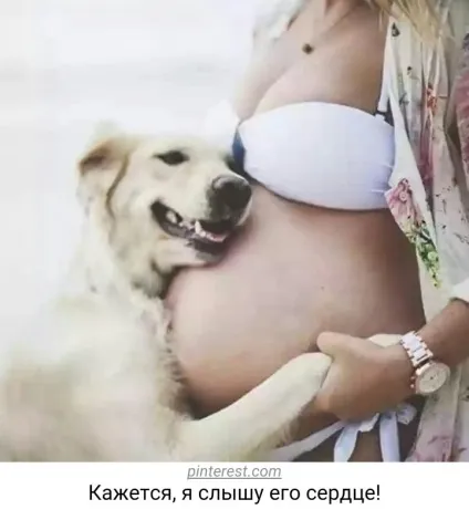 У собак лише один недолік