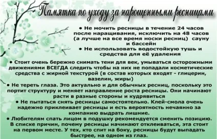 Догляд за віями після нарощування (догляд) Догляд за віями після нарощування