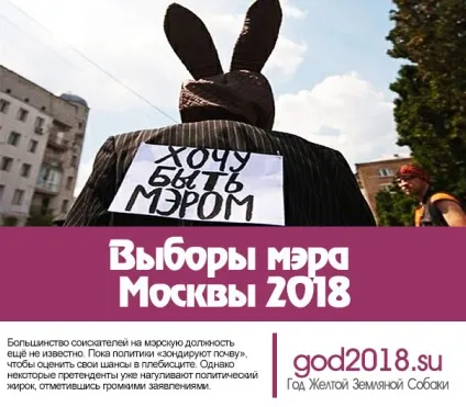 Вибори мера Москви 2018