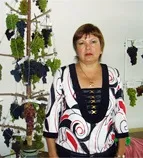 Вирощування розсади томатів (томатів) Вирощування розсади томатів