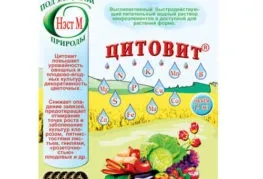 Вирощування і догляд за рослинами (догляд) Вирощування і догляд за рослинами