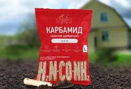 Вирощування і догляд за рослинами (догляд) Вирощування і догляд за рослинами