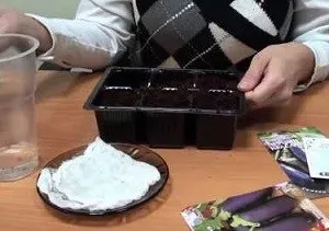 Вирощування баклажан в домашніх умовах - фото і відео (тля на розсаді баклажан) Вирощування баклажан в домашніх умовах - фото і відео