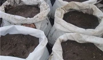 Вирощування шампіньйонів в домашніх умовах від а до я (умовах) Вирощування шампіньйонів в домашніх умовах від а до я