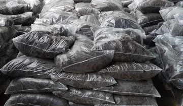 Вирощування шампіньйонів в домашніх умовах від а до я (вирощування) Вирощування шампіньйонів в домашніх умовах від а до я