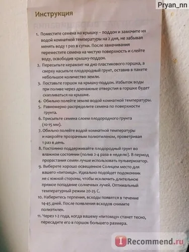 Вирости, дерево! Гранат звичайний - «гранат від зернини до високих стеблинок! Фотозвіт про зростання (вирости) Вирости, дерево! Гранат звичайний - «гранат від зернини до високих стеблинок! Фотозвіт про зростання