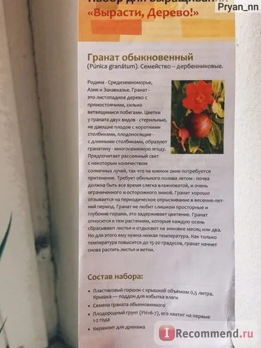 Вирости, дерево! Гранат звичайний - «гранат від зернини до високих стеблинок! Фотозвіт про зростання (звичайний) Вирости, дерево! Гранат звичайний - «гранат від зернини до високих стеблинок! Фотозвіт про зростання