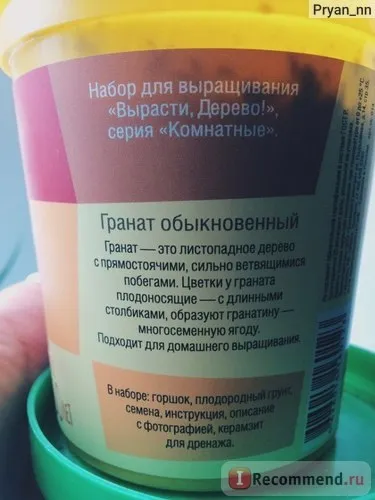 Вирости, дерево! Гранат звичайний - «гранат від зернини до високих стеблинок! Фотозвіт про зростання (вирости) Вирости, дерево! Гранат звичайний - «гранат від зернини до високих стеблинок! Фотозвіт про зростання