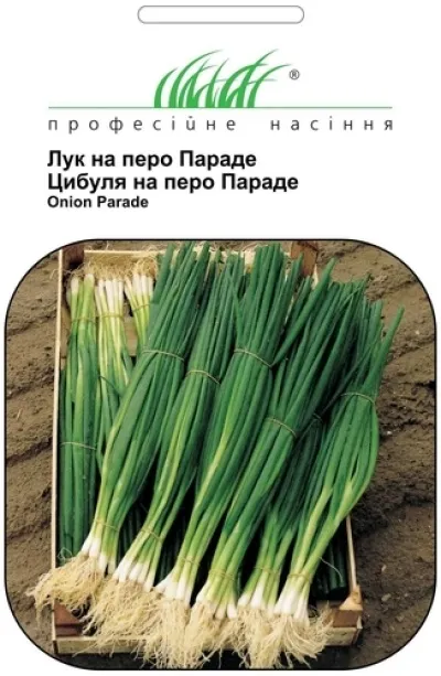 Вирощування цибулі параді