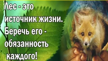 Як зігрітися диханням, на холоді