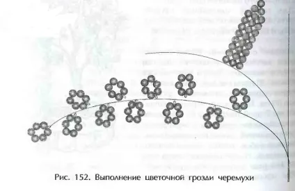 Як сплести з бісеру квітучу черемху (сплести) Як сплести з бісеру квітучу черемху