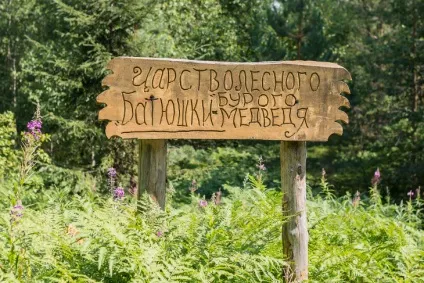 Як рятують ведмедів в товариський області (товариський) Як рятують ведмедів в товариський області