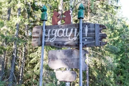 Як рятують ведмедів в товариський області (області) Як рятують ведмедів в товариський області