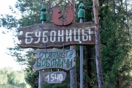 Як рятують ведмедів в товариський області (ведмедів) Як рятують ведмедів в товариський області