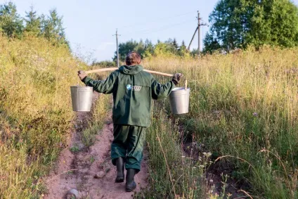 Як рятують ведмедів в товариський області (області) Як рятують ведмедів в товариський області