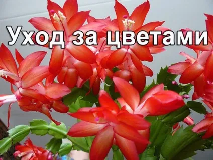 Як зігрітися диханням, на холоді