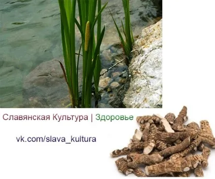 Як зігрітися диханням, на холоді