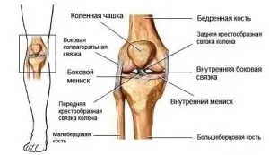 Вивих колінного суглоба симптоми і лікування (суглоба) Вивих колінного суглоба симптоми і лікування