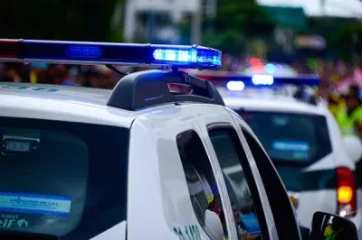 У Ленобласті в лісі виявили обвуглені ноги і голову людини - останні новини за сьогодні (зробив) У Ленобласті в лісі виявили обвуглені ноги і голову людини - останні новини за сьогодні