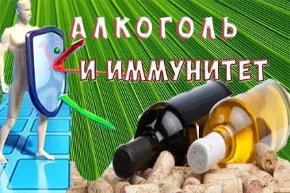 Вплив алкоголю на імунітет