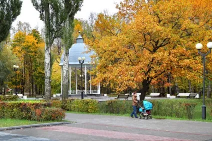 У Ленобласті в лісі виявили обвуглені ноги і голову людини - останні новини за сьогодні (людини) У Ленобласті в лісі виявили обвуглені ноги і голову людини - останні новини за сьогодні