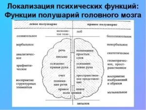 Сприйняття як психічна функція (дидактичні матеріали Монтессорі) Сприйняття як психічна функція