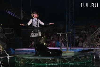 Вперше ульяновци можуть побачити циркове шоу на воді «aqua-show» (гастролі) Вперше ульяновци можуть побачити циркове шоу на воді «aqua-show»
