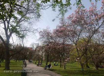 Воянови сади де знаходяться, як пройти в сади, павичі в саду (сади) Воянови сади де знаходяться, як пройти в сади, павичі в саду