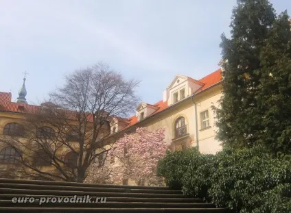 Воянови сади де знаходяться, як пройти в сади, павичі в саду (сади) Воянови сади де знаходяться, як пройти в сади, павичі в саду