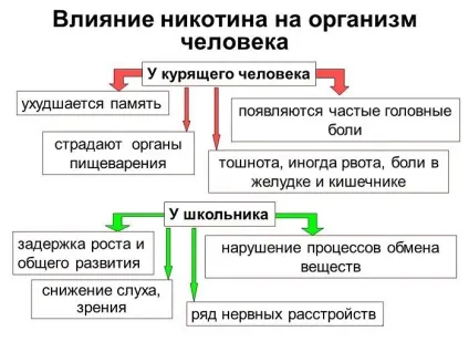 Шкода нікотину на організм людини, ніж шкідливий, від вейпа, при вагітності, здоров'я підлітка (нікотину) Шкода нікотину на організм людини, ніж шкідливий, від вейпа, при вагітності, здоров'я підлітка