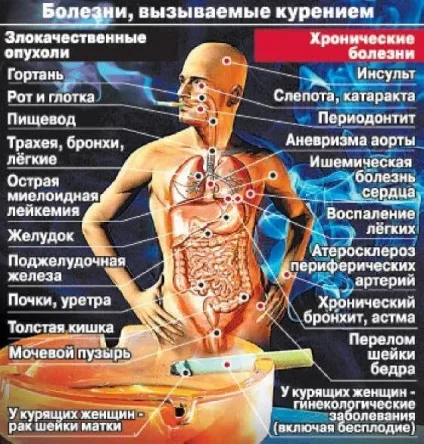 шкода нікотину