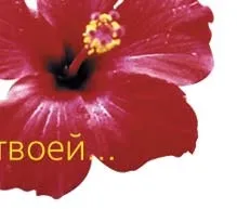 Хочу бути Венера Мілоська