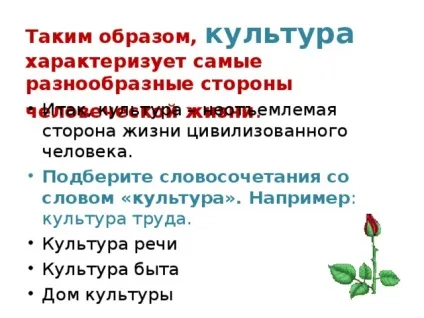 Введення в курс МХК
