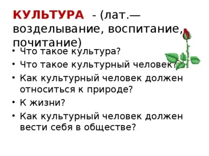 Введення в курс МХК