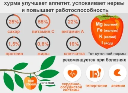 Хурма для схуднення користь, коли можна їсти, відгуки та результати (хурма) Хурма для схуднення користь, коли можна їсти, відгуки та результати