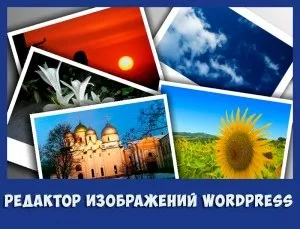 Навіщо потрібен html-редактор в wordpress