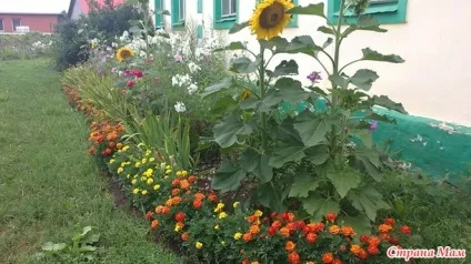 Парканчик на дитячому майданчику група облаштування і прикраса дачної ділянки (паркан своїми руками) Парканчик на дитячому майданчику група облаштування і прикраса дачної ділянки