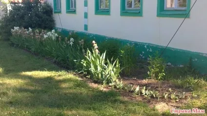 Парканчик на дитячому майданчику група облаштування і прикраса дачної ділянки (паркан своїми руками) Парканчик на дитячому майданчику група облаштування і прикраса дачної ділянки