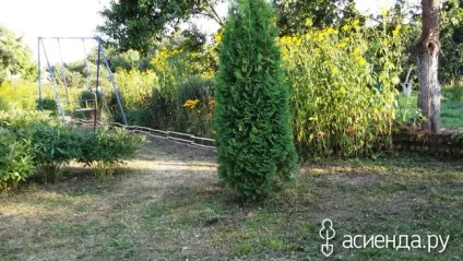 Парканчик на дитячому майданчику група облаштування і прикраса дачної ділянки (паркан своїми руками) Парканчик на дитячому майданчику група облаштування і прикраса дачної ділянки